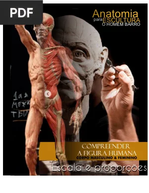 Anatomia para Escultura
